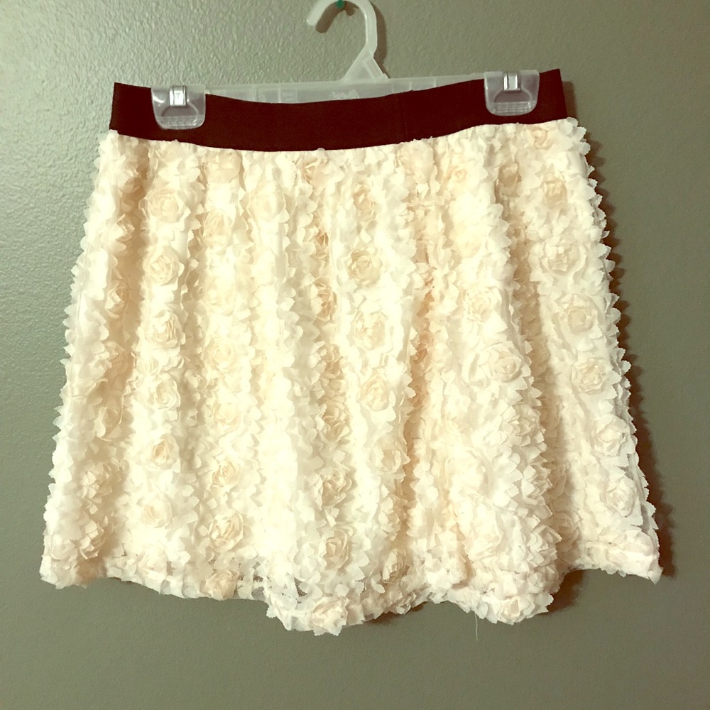 Ladies skirt